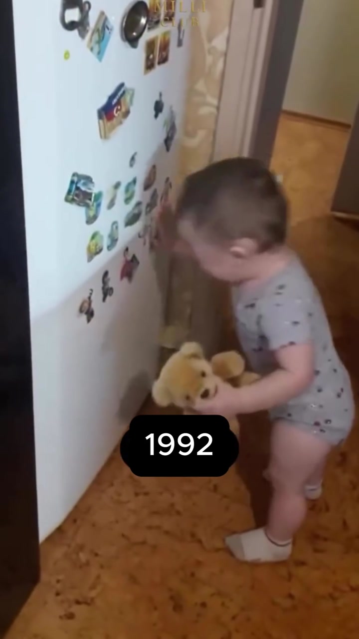 Video portofoliu