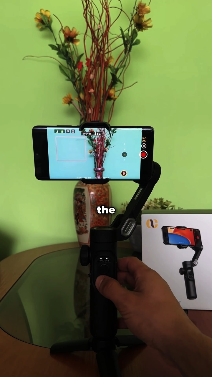 Video portofoliu