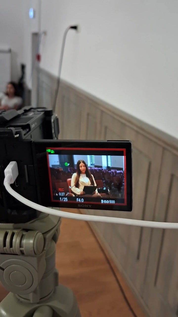 Video portofoliu
