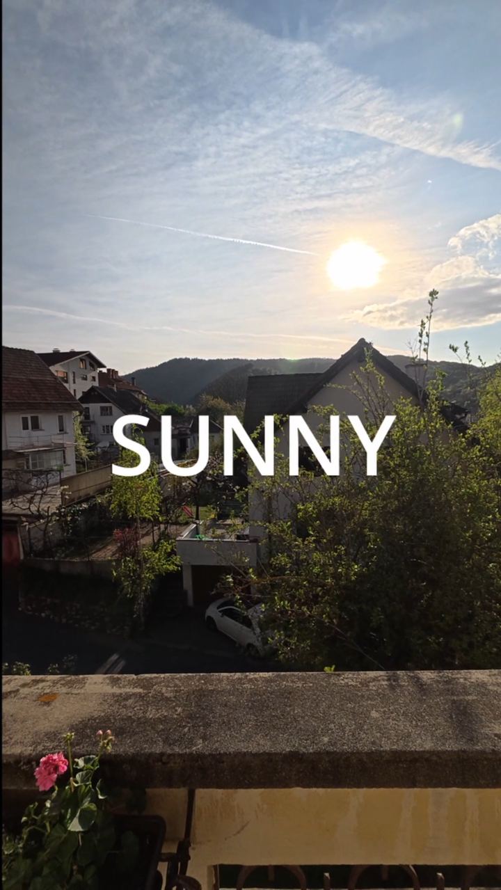 Video portofoliu