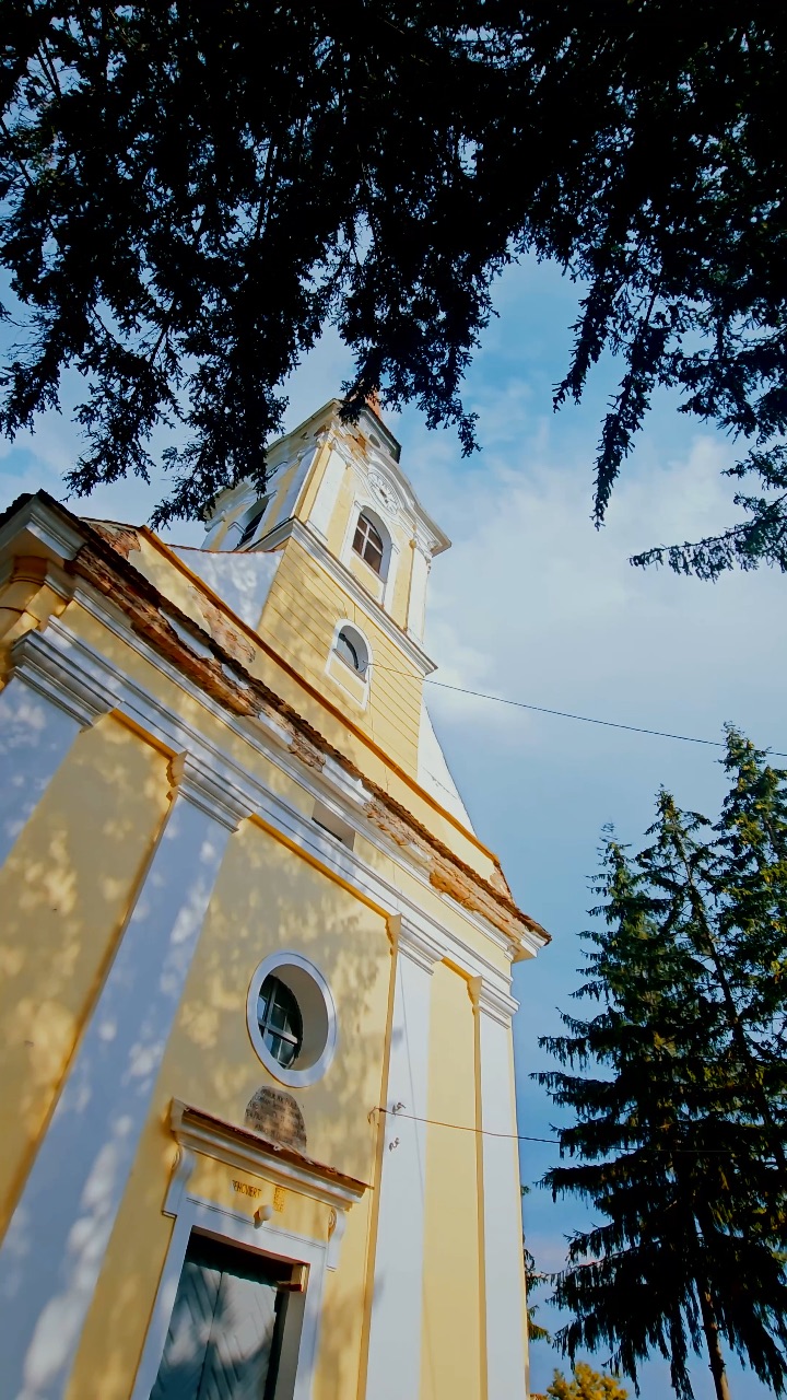 Video portofoliu