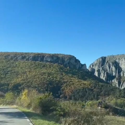 Video portofoliu