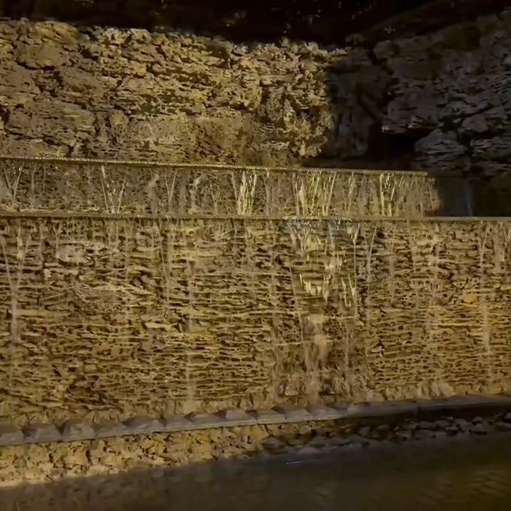 Video portofoliu