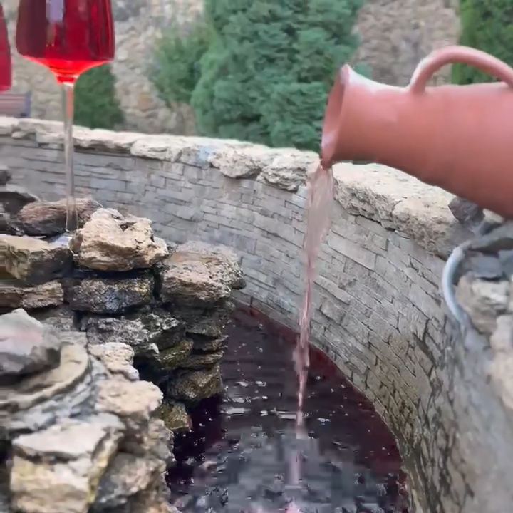 Video portofoliu