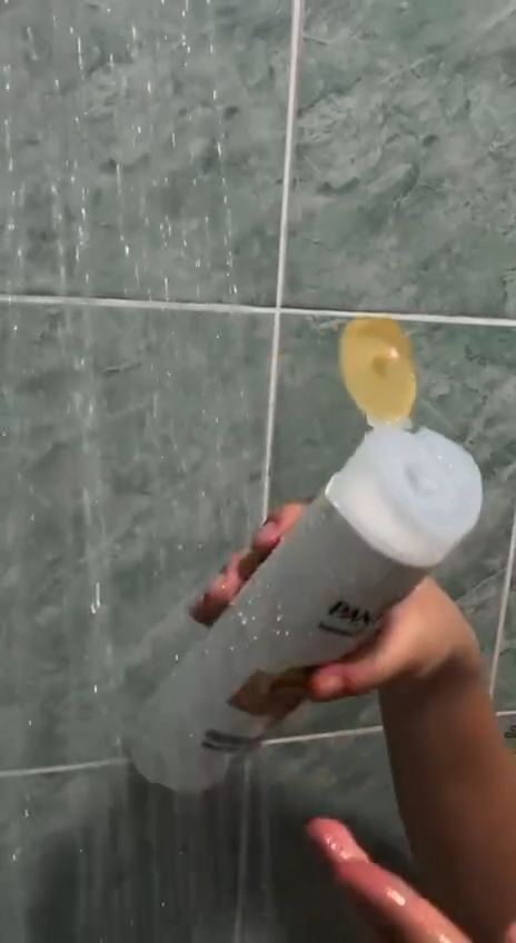 Video portofoliu