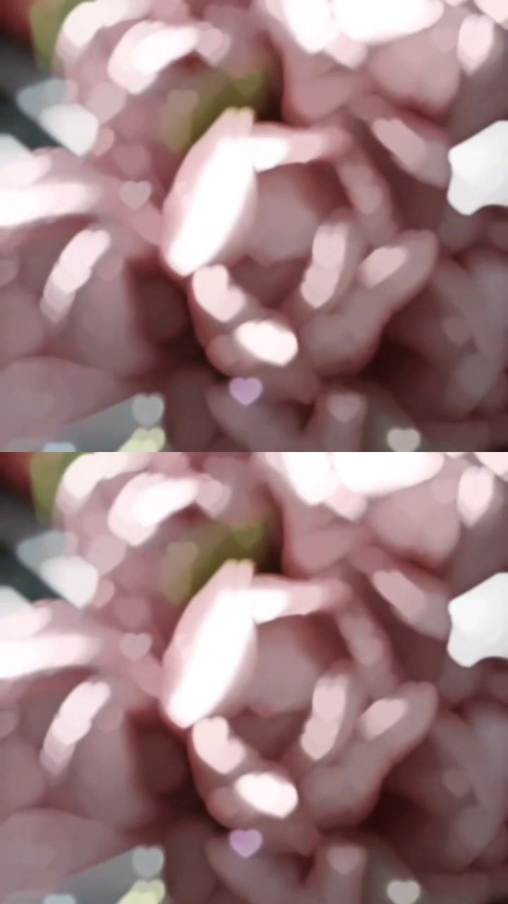 Video portofoliu