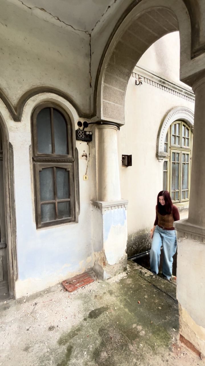 Video portofoliu