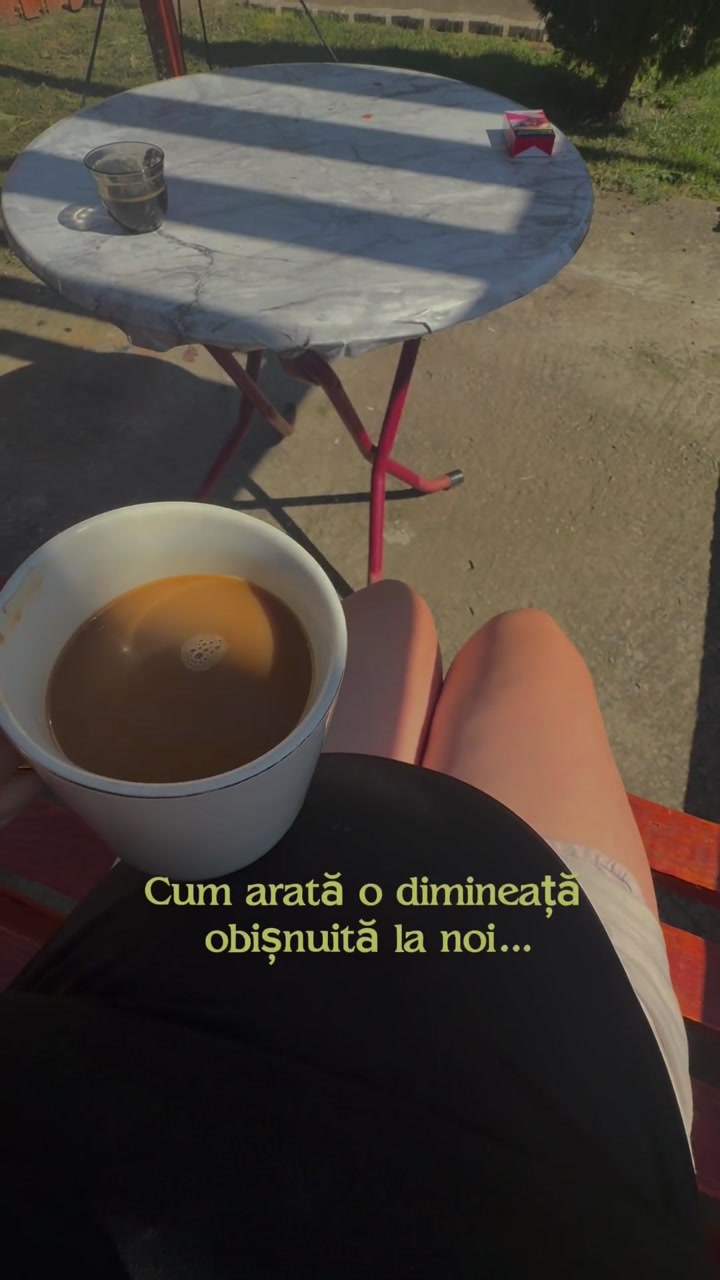 Video portofoliu