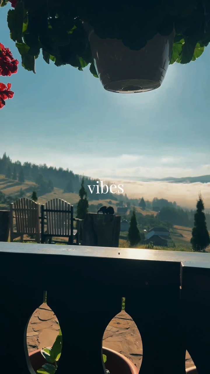 Video portofoliu