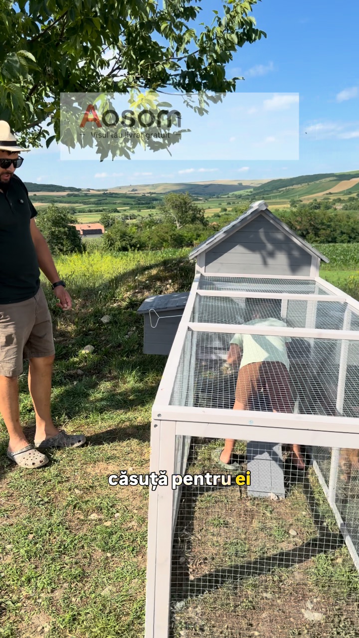 Video portofoliu