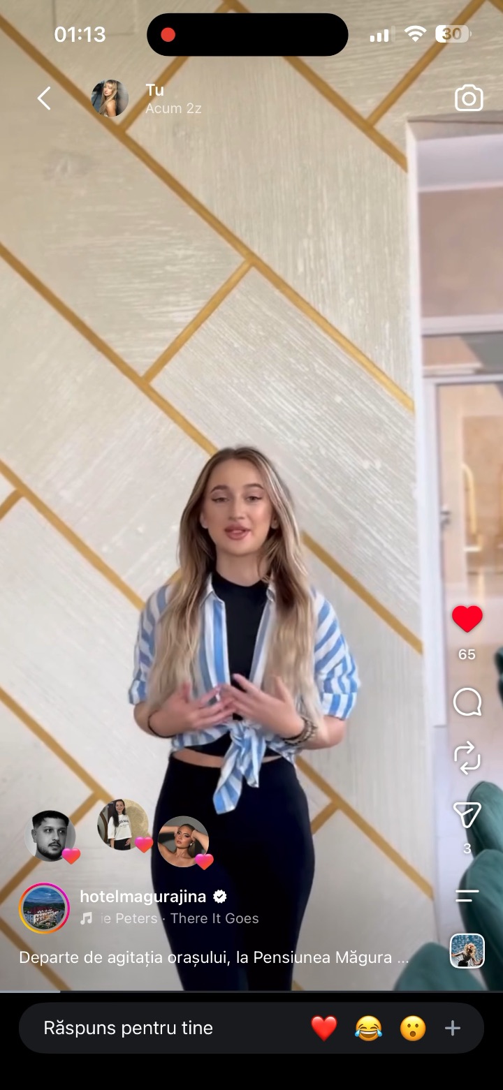 Video portofoliu