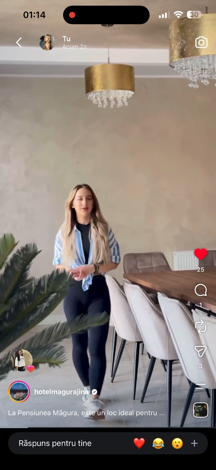 Video portofoliu