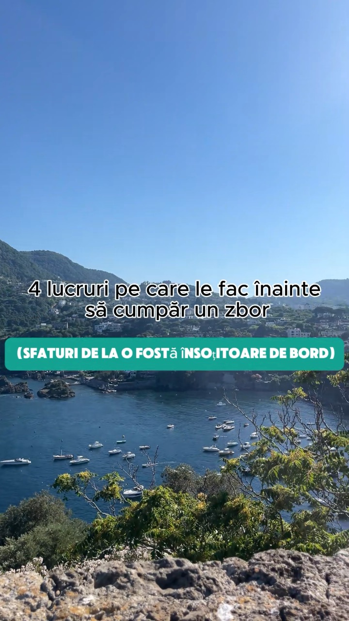 Video portofoliu