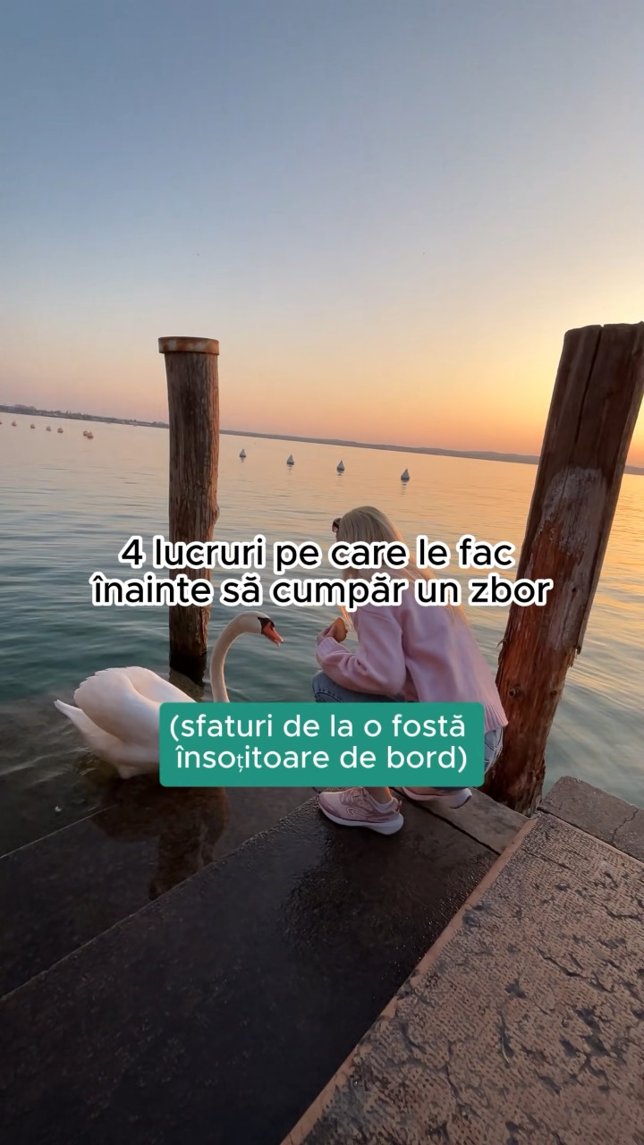 Video portofoliu
