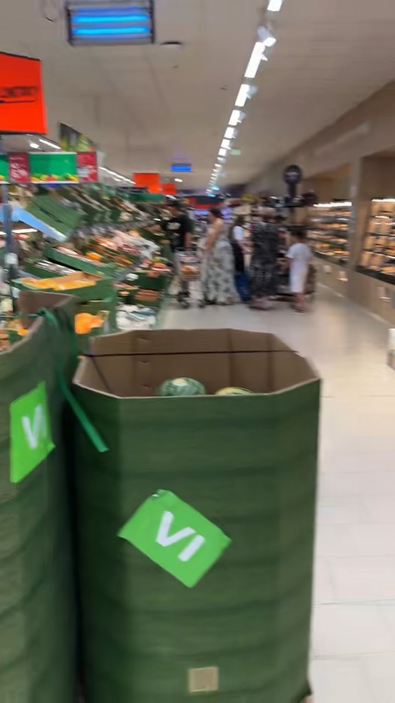 Video portofoliu