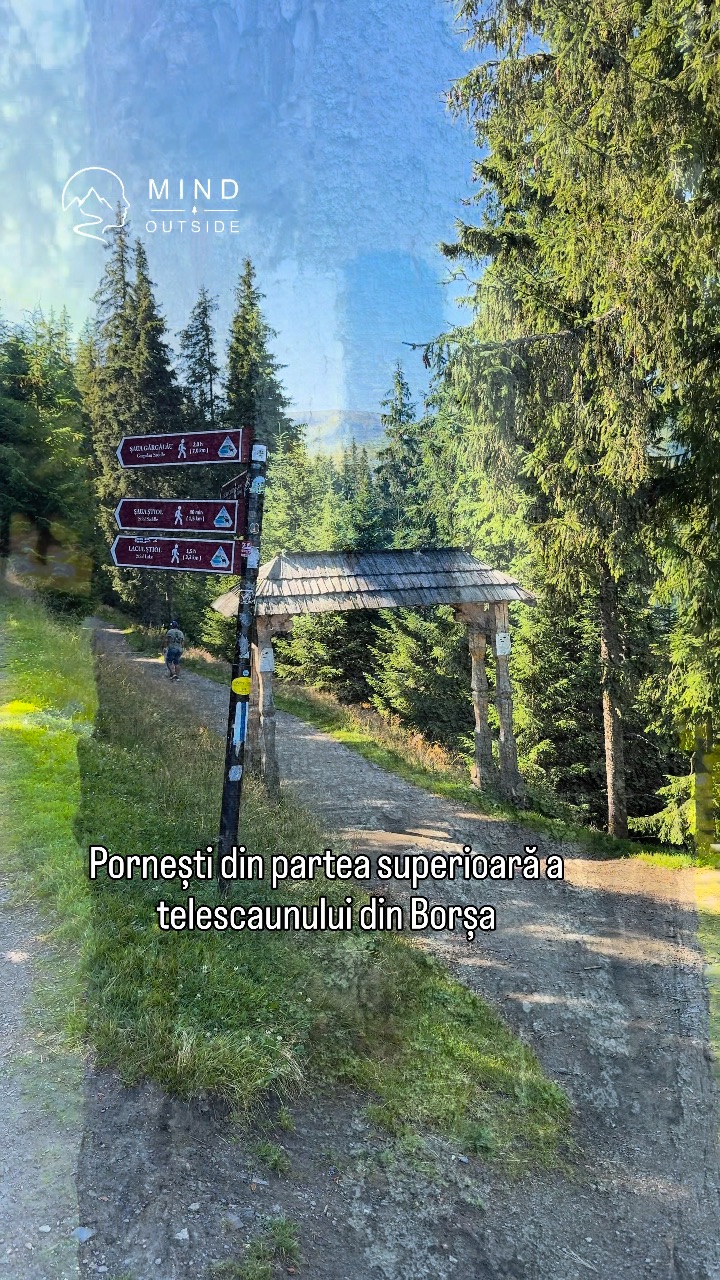 Video portofoliu