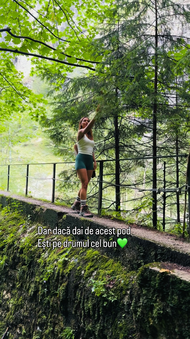 Video portofoliu