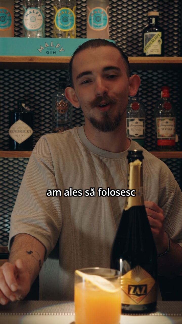Video portofoliu