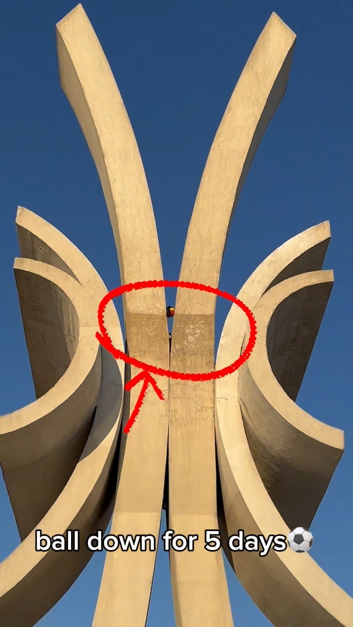 Video portofoliu