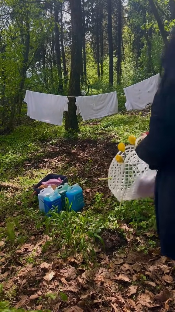 Video portofoliu