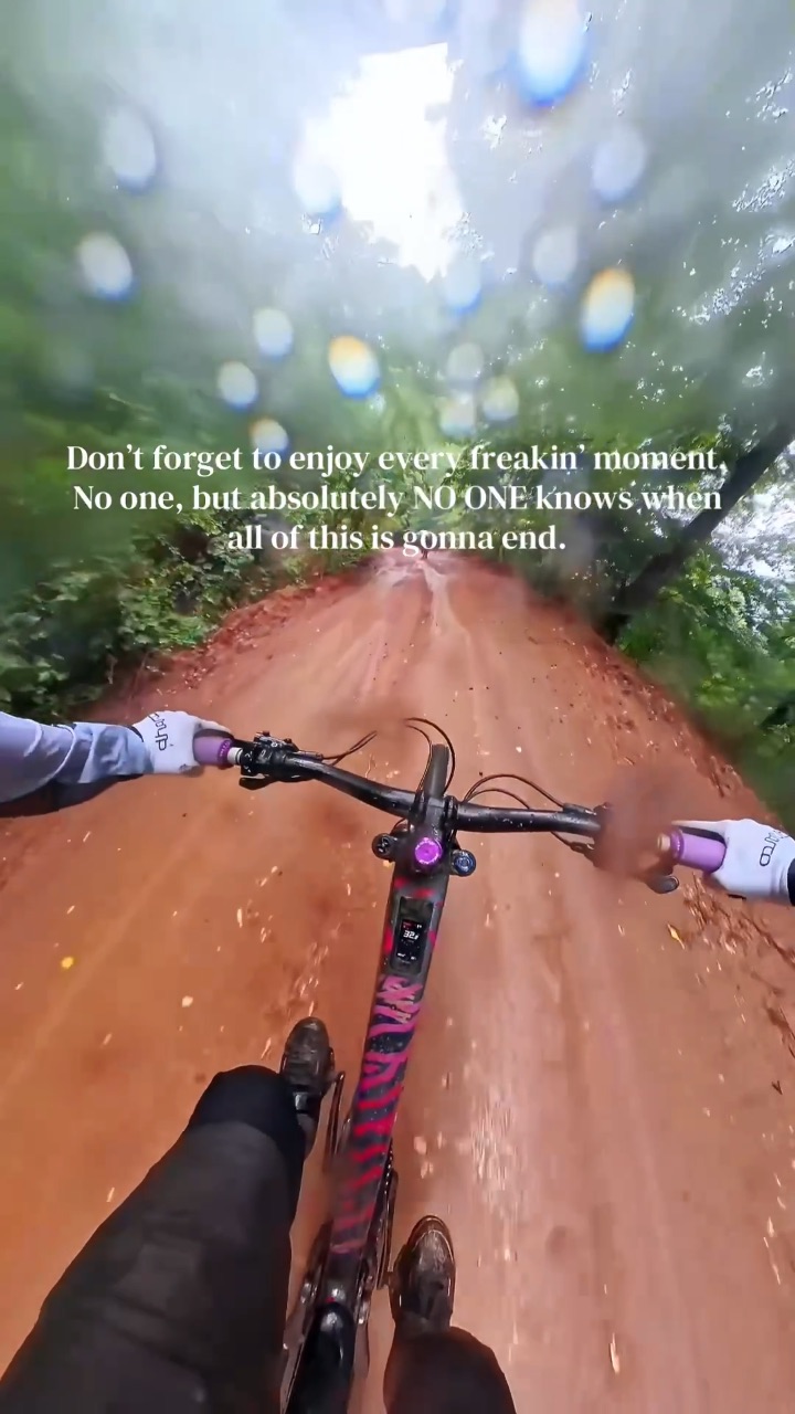 Video portofoliu