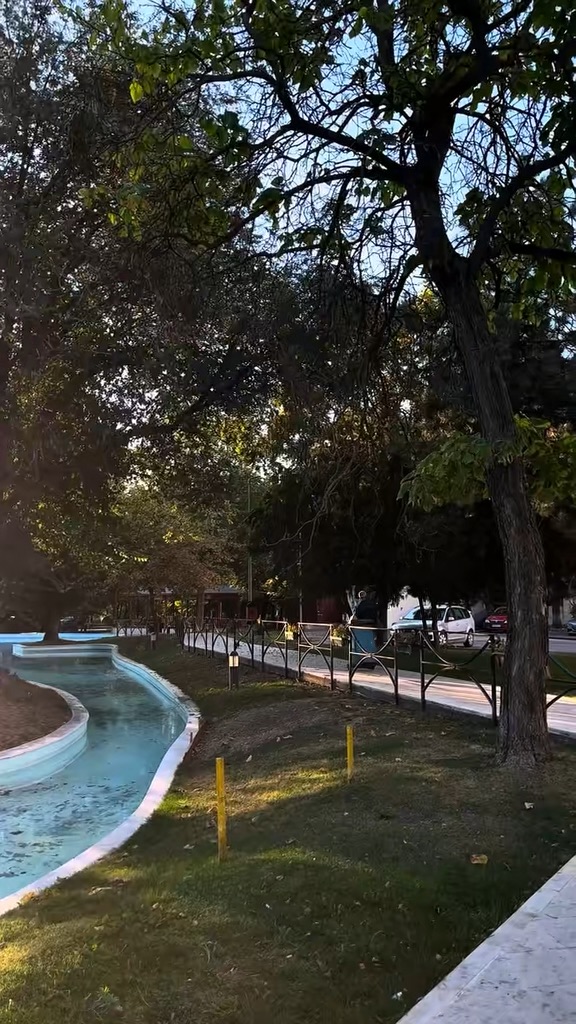 Video portofoliu