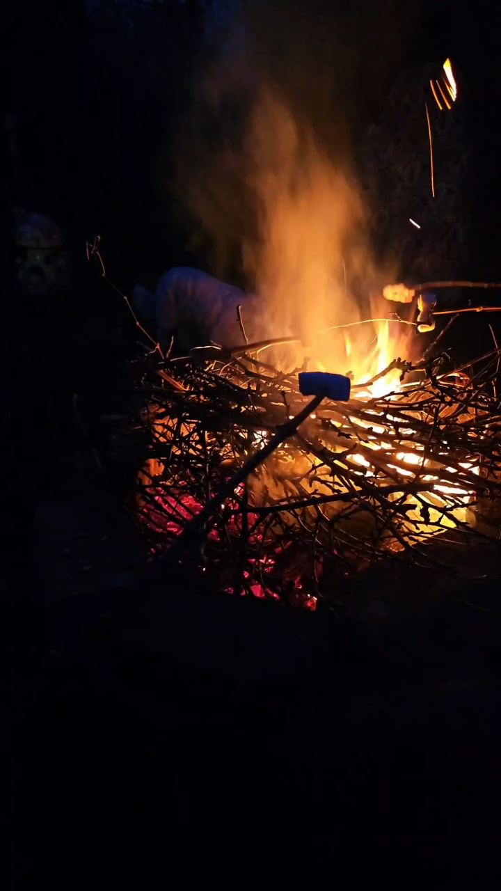 Video portofoliu