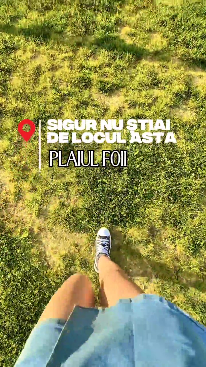 Video portofoliu