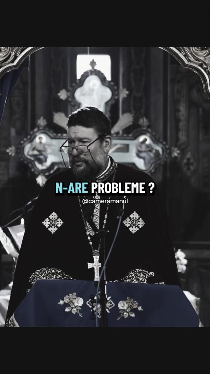 Video portofoliu