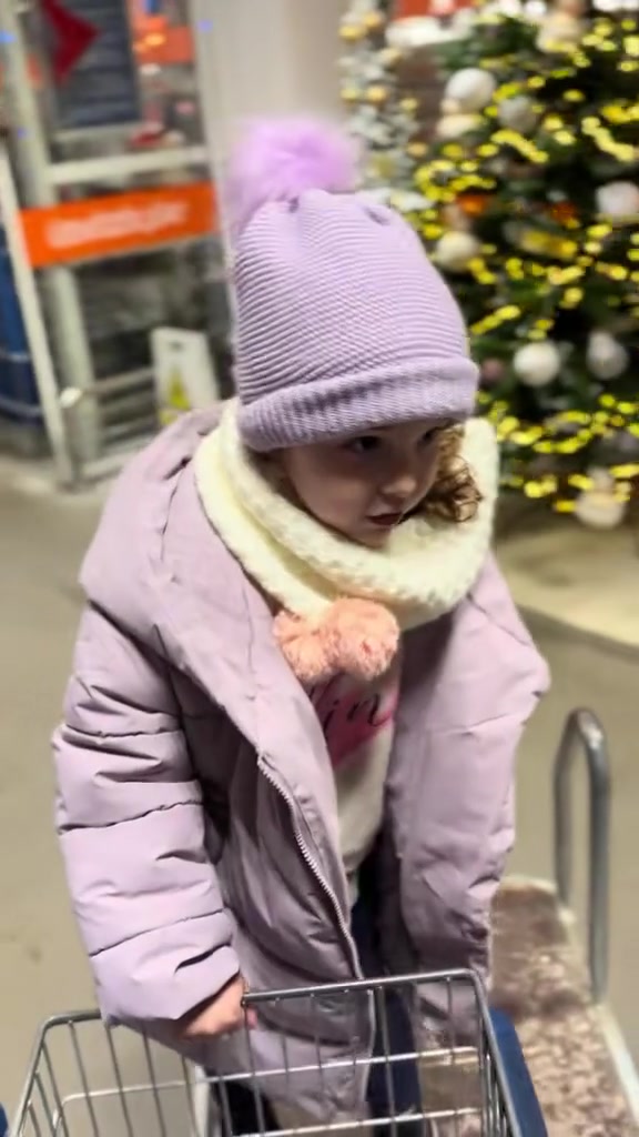 Video portofoliu