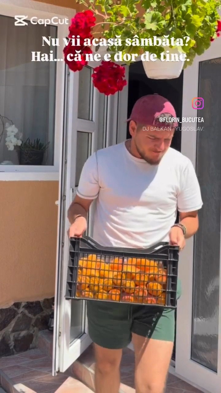 Video portofoliu