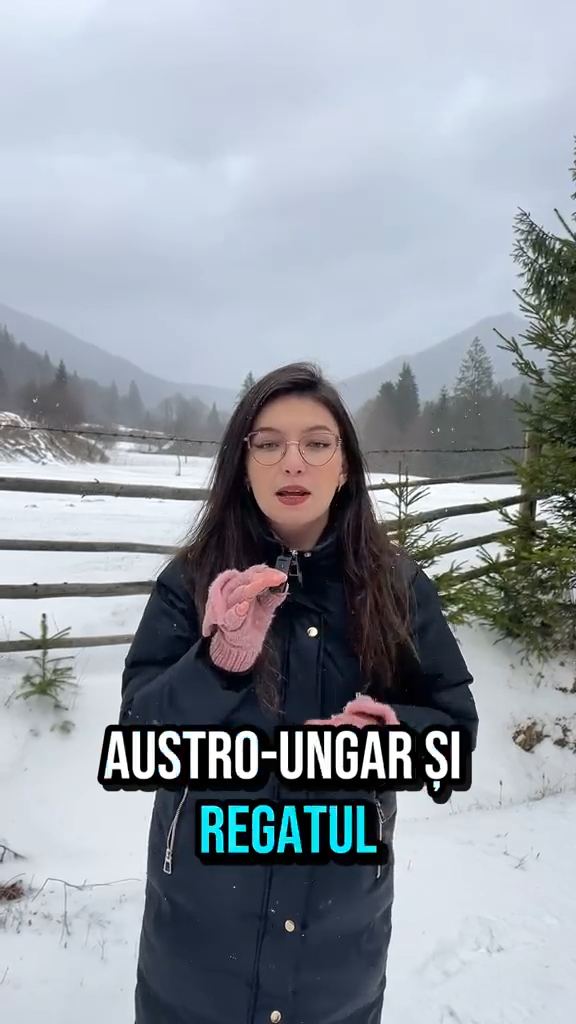 Video portofoliu