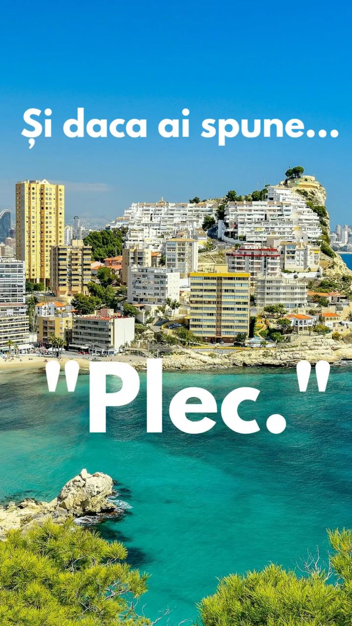 Video portofoliu