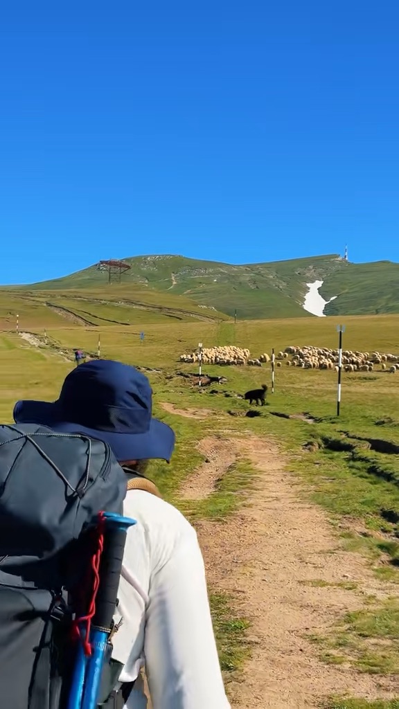Video portofoliu