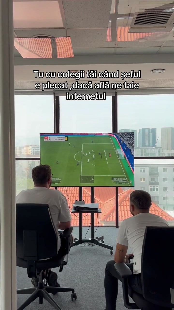 Video portofoliu